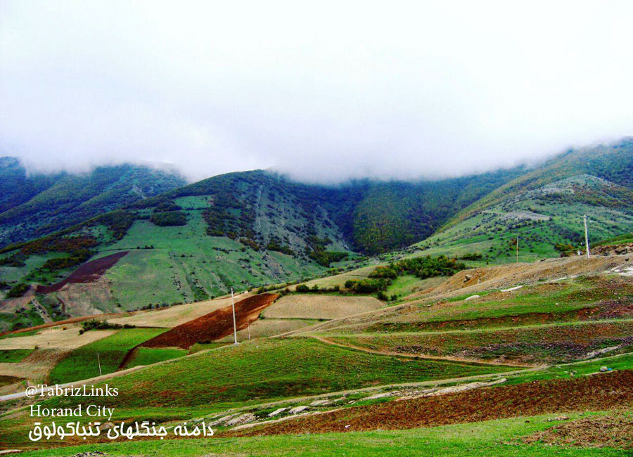 مسافرت