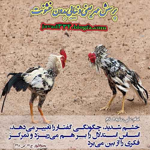 پرسش مهر17یعنی دنیایی بدون خشونت سیدجوادموسوی