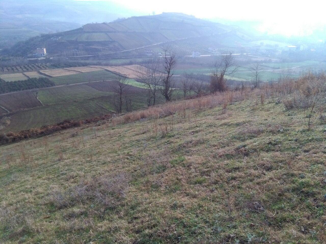 1_3_.jpg (1280×960)