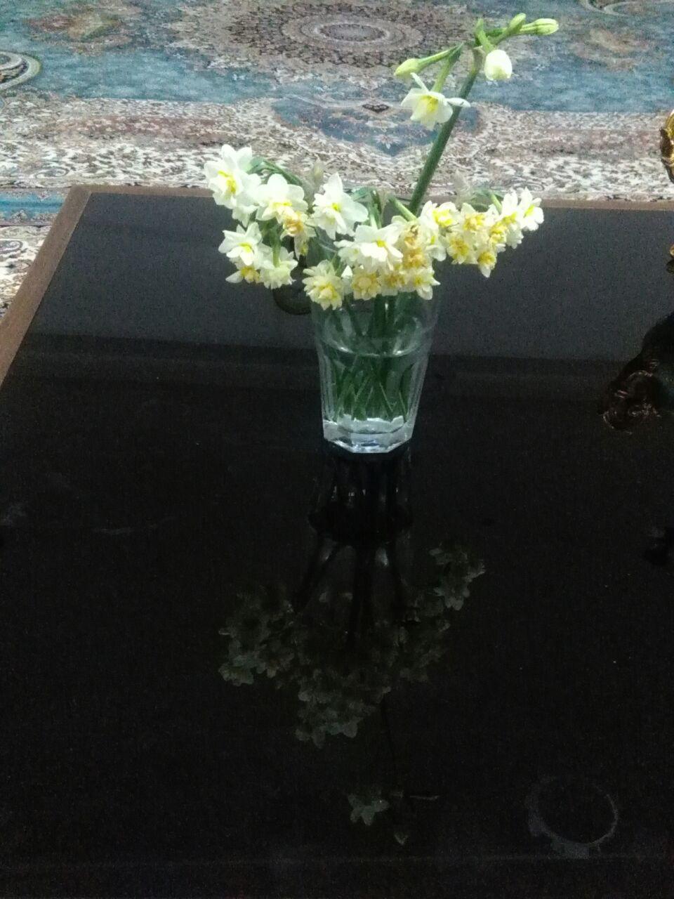 1_25_.jpg (960×1280)