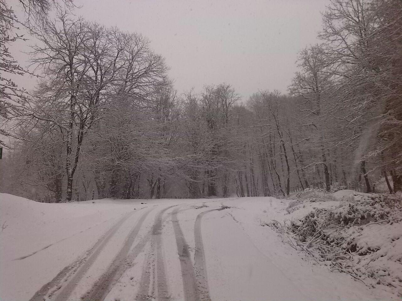 1_3_.jpg (1280×959)