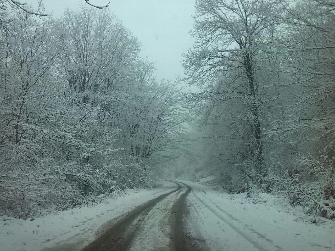 1_5_.jpg (1280×959)