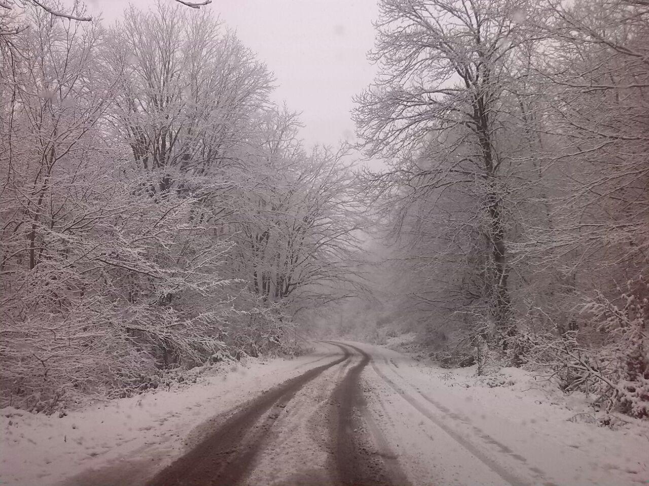 1_7_.jpg (1280×959)