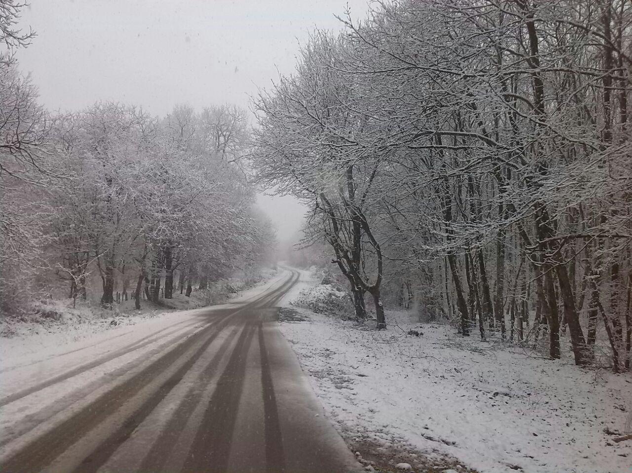 1_9_.jpg (1280×959)