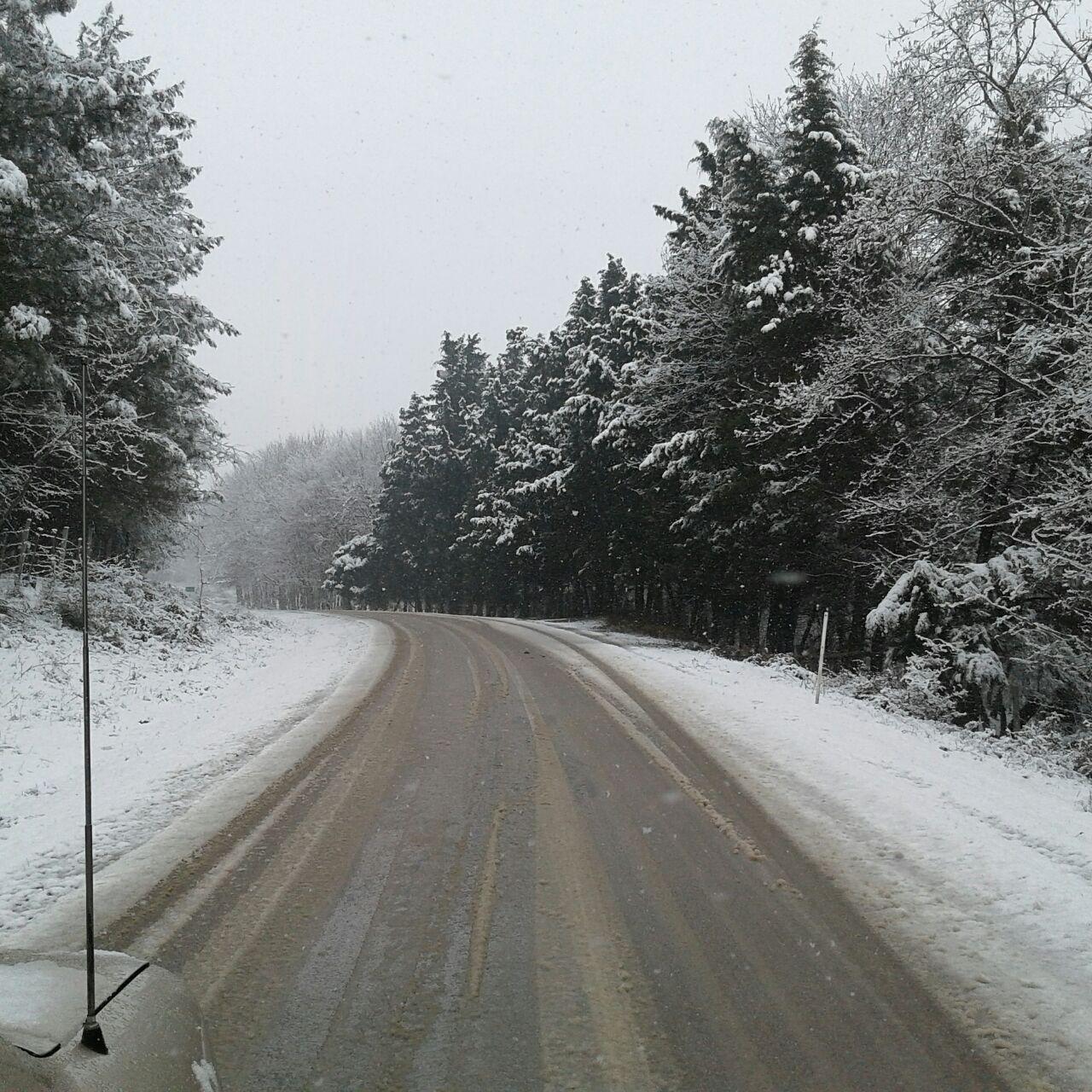 1_1_.jpg (1280×1280)