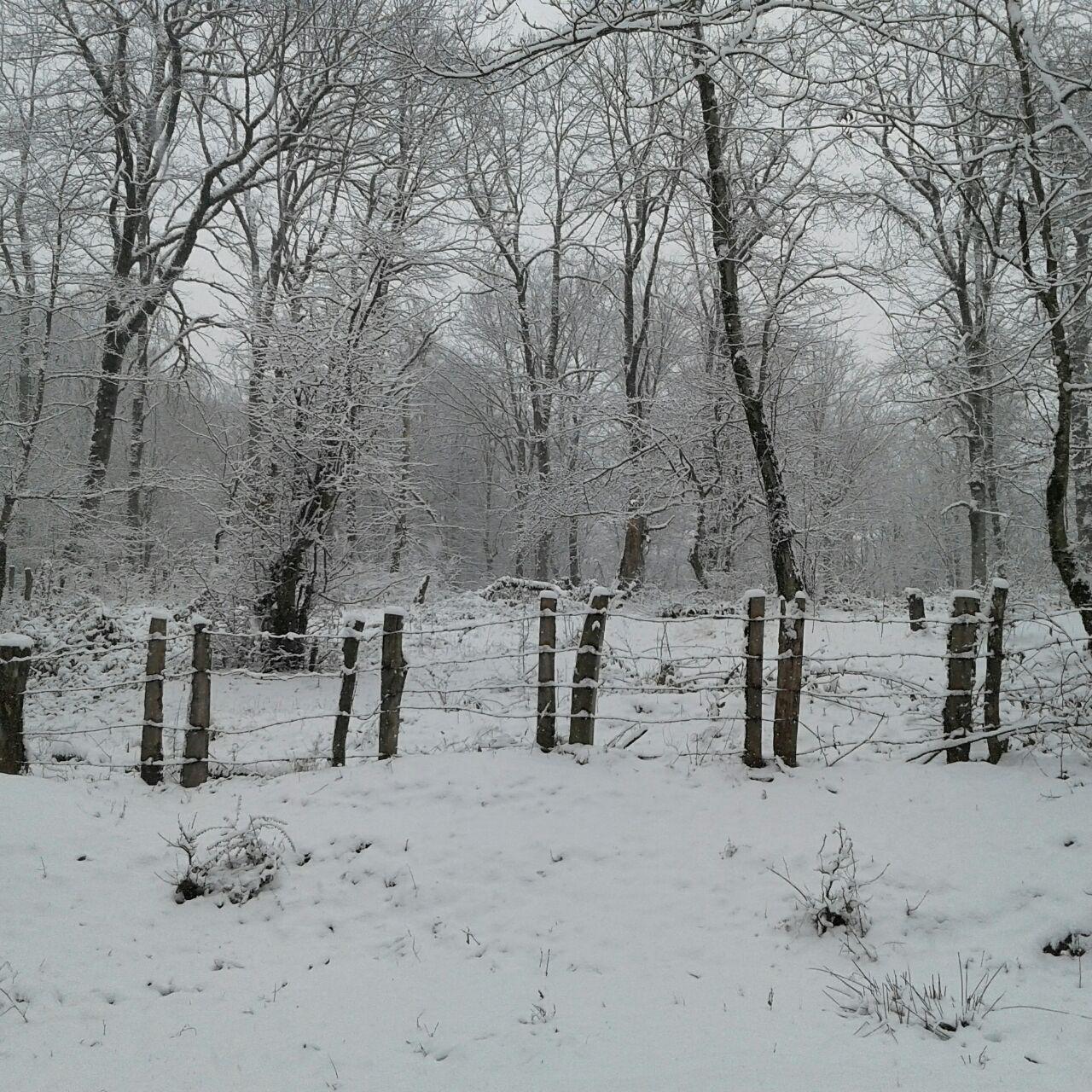 1_2_.jpg (1280×1280)