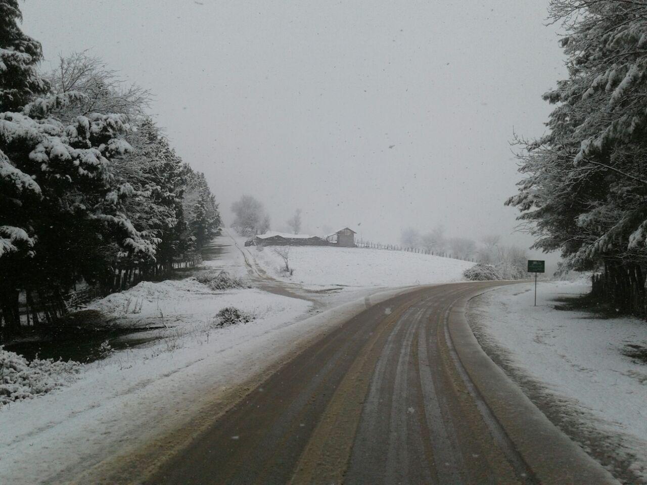 1_7_.jpg (1280×960)