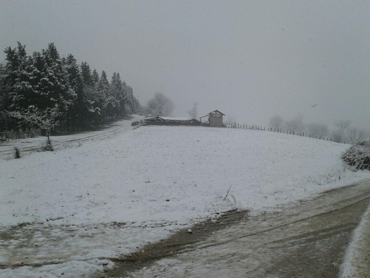 1_8_.jpg (1280×960)