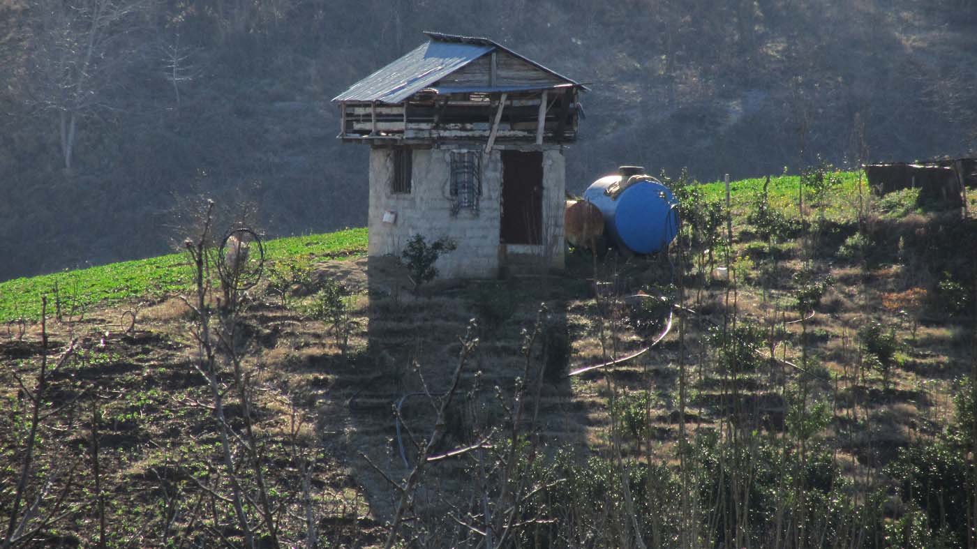 1_6_.jpg (1400×787)