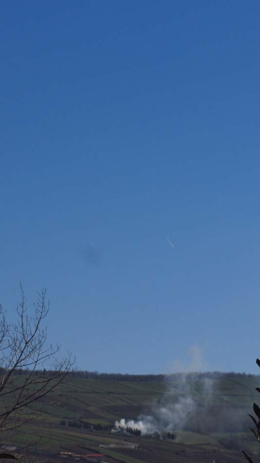 1_14_.jpg (534×950)