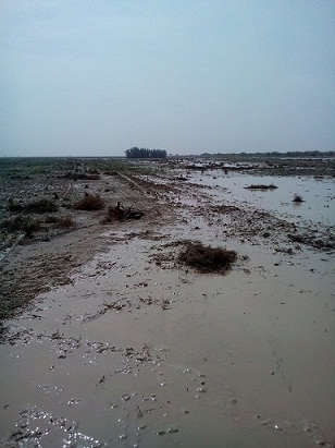 http://s8.picofile.com/file/8286422734/DSC_0010.jpg