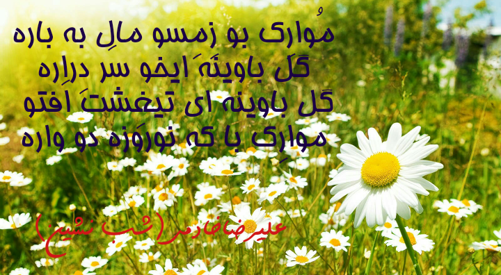 شب ودلم.علیرضاخادمی.قوم لر.نوروز