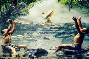 پرنده نصیحتگو ، منبع :
http://mahfeladabi.com/post/9332 پرنده نصیحتگو