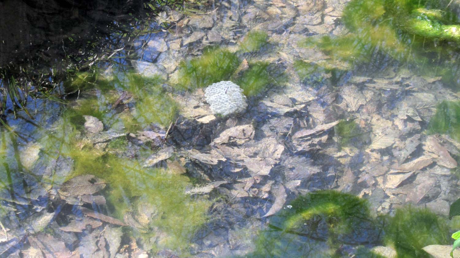 1_5_.JPG (1500×843)