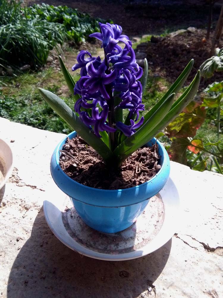 1_4_.jpg (750×1000)