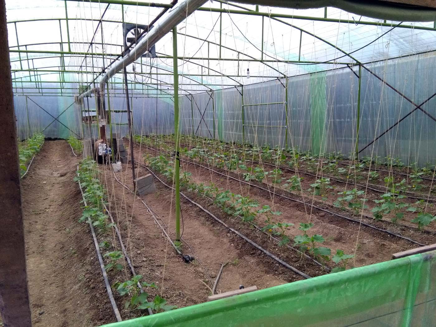 1_9_.jpg (1400×1050)