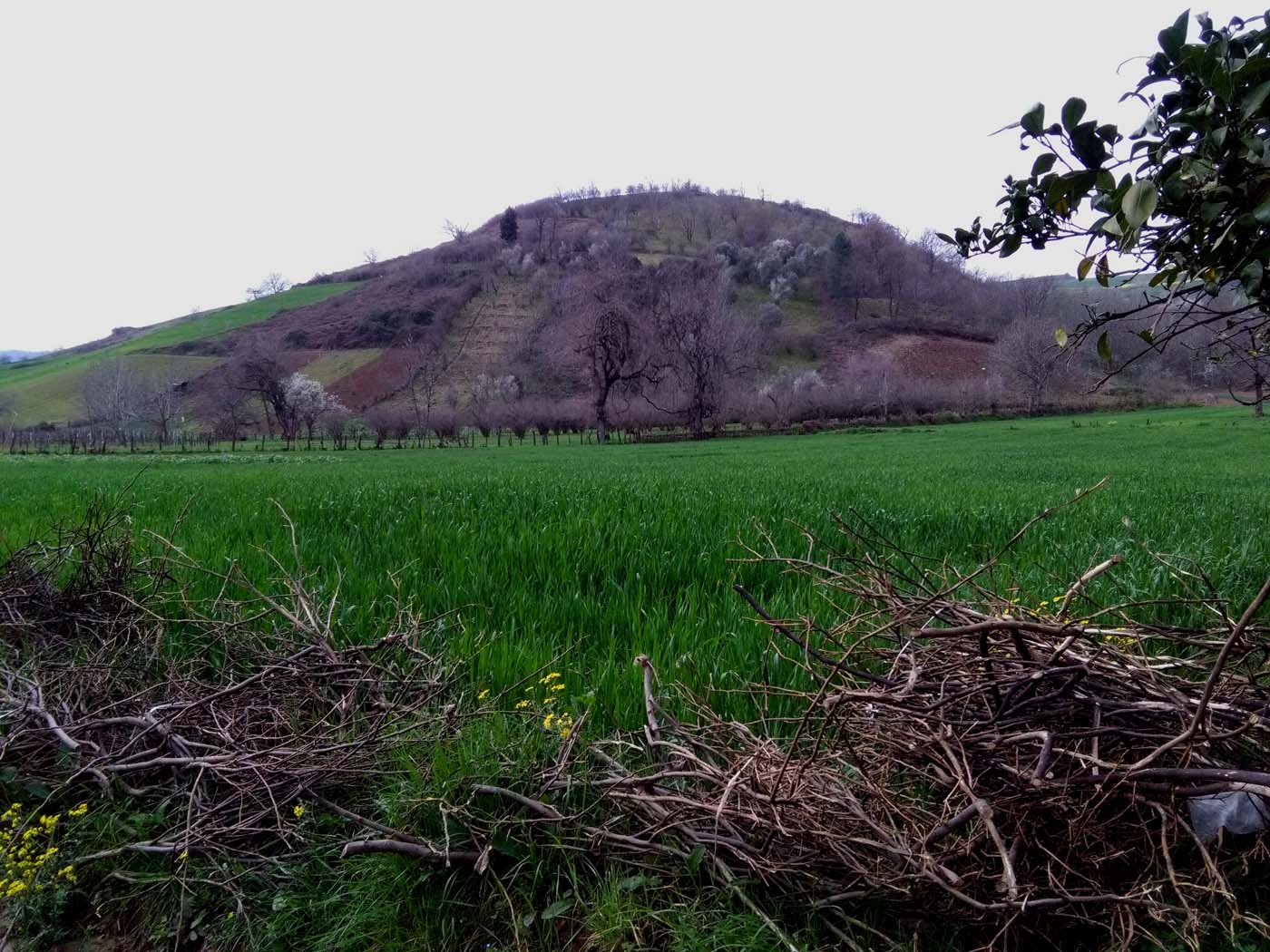 1_10_.jpg (1400×1050)