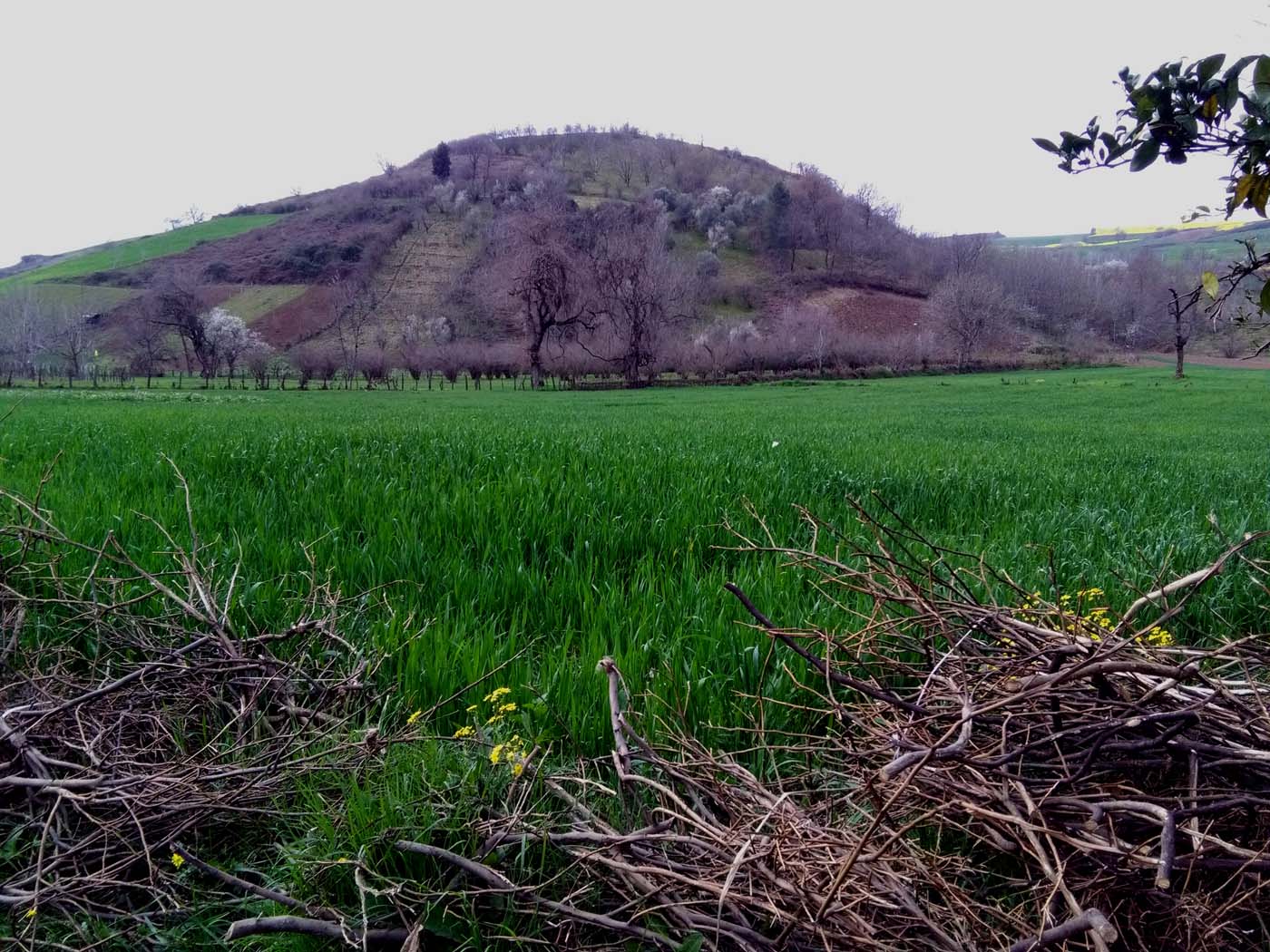 1_11_.jpg (1400×1050)