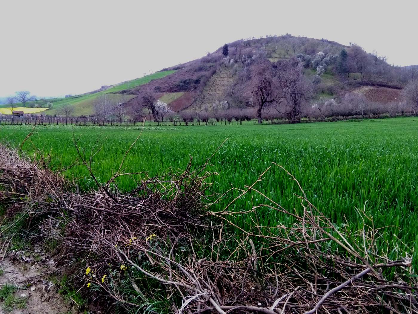 1_13_.jpg (1400×1050)