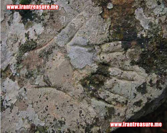 http://s8.picofile.com/file/8290213942/el951.JPG
