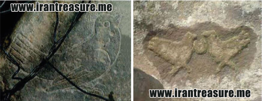 http://s8.picofile.com/file/8290606268/kus951.JPG