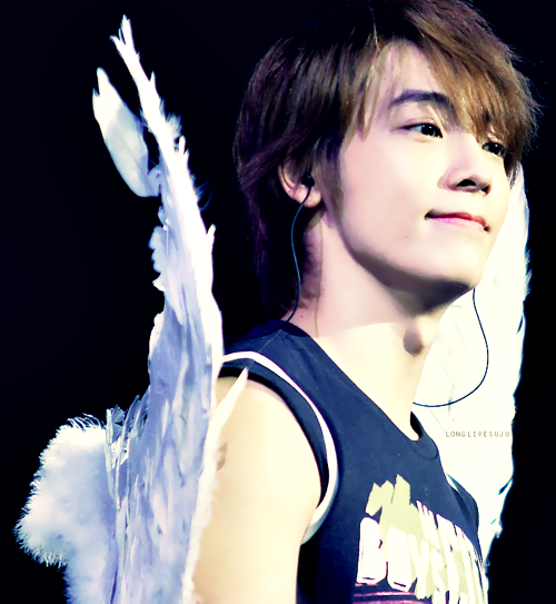 http://s8.picofile.com/file/8290820668/110305_Super_Show3_in_Shanghai_Donghae_1_.png