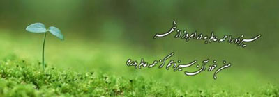 سیزده