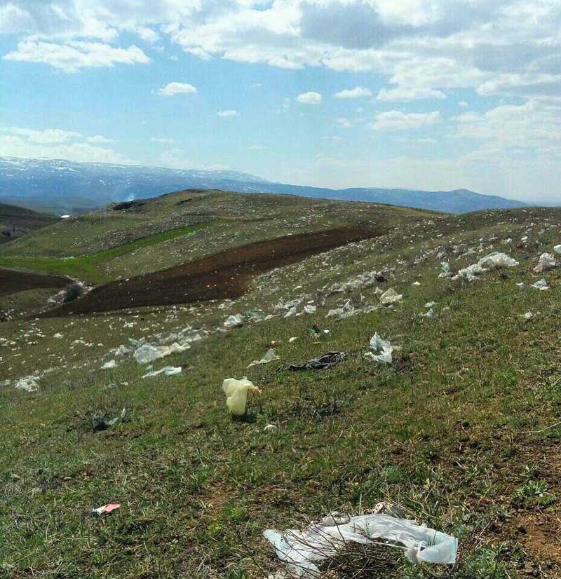 روز طبیعت