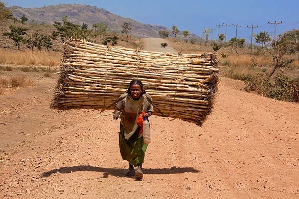 سختی‌های زندگی بدون تکنولوژی