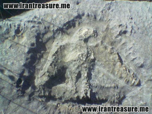 http://s8.picofile.com/file/8290984768/qar953.jpg