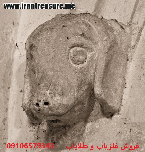 http://s8.picofile.com/file/8291441168/kopek952.jpg