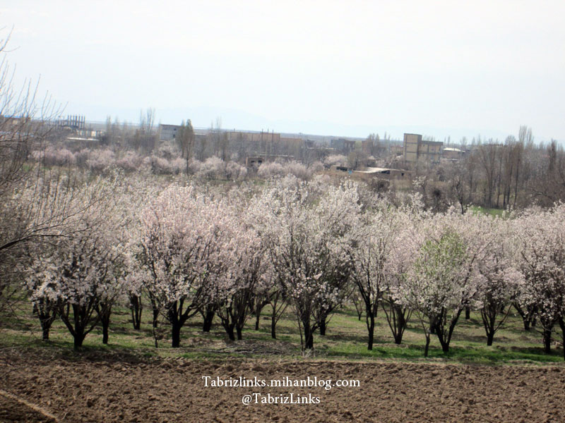 جاده عجبشیر