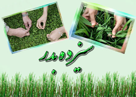 سیزده بدر