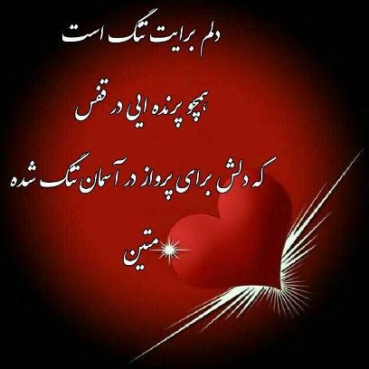 دلم پر می کشد