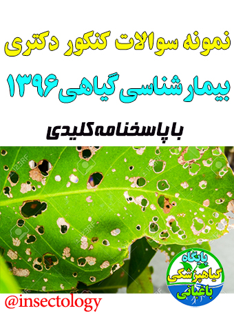 گیاهپزشکی