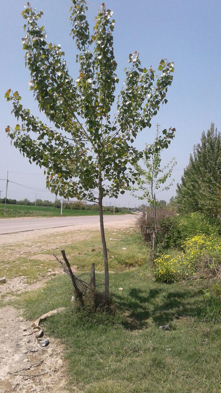 1_4_.jpg (720×1280)