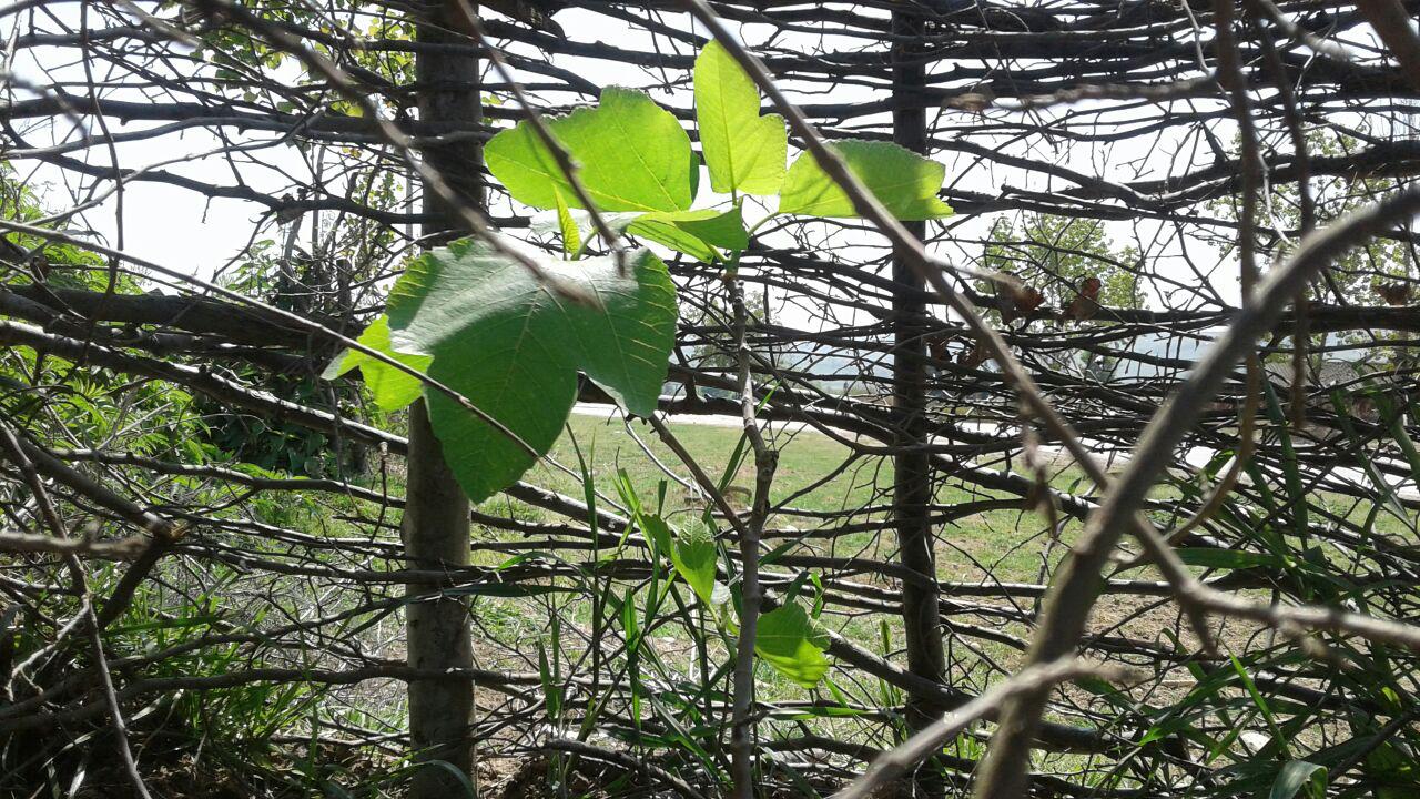 1_5_.jpg (1280×720)