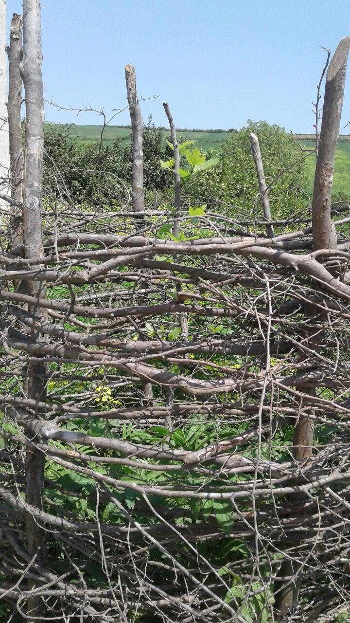 1_6_.jpg (720×1280)