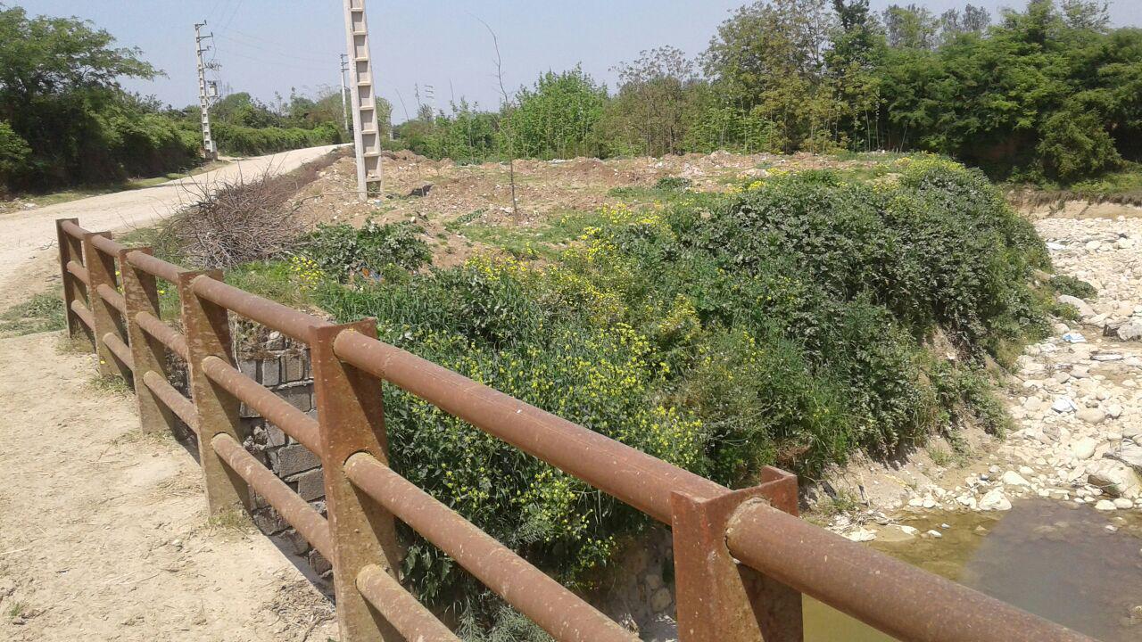 1_2_.jpg (1280×720)