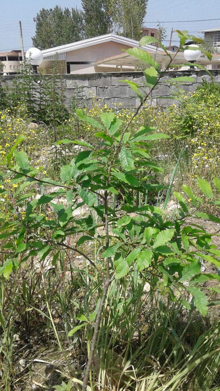 1_6_.jpg (720×1280)