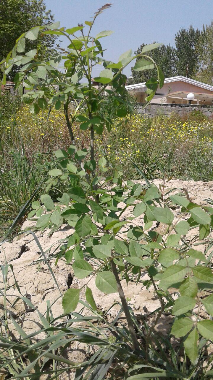 1_7_.jpg (720×1280)