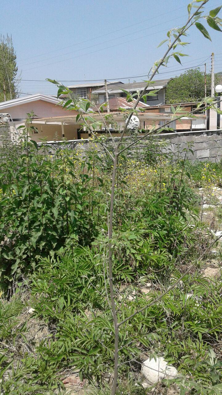 1_8_.jpg (720×1280)