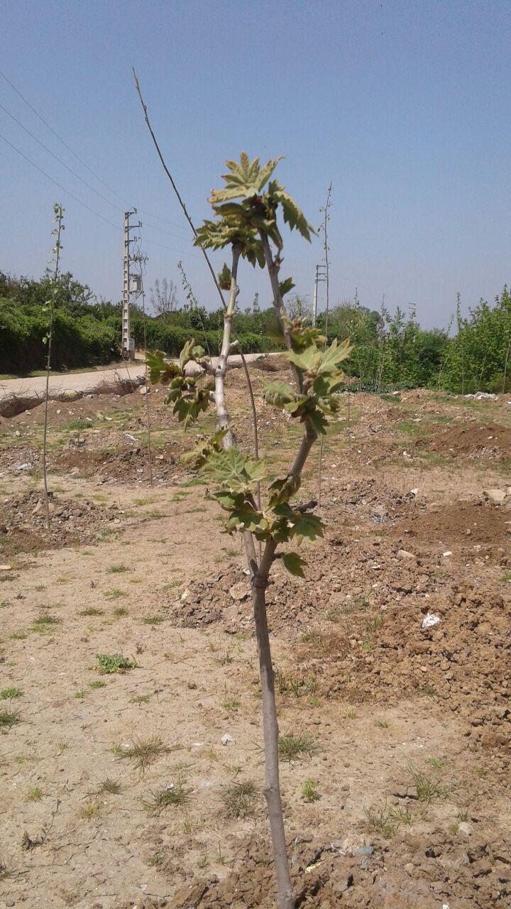 1_11_.jpg (720×1280)