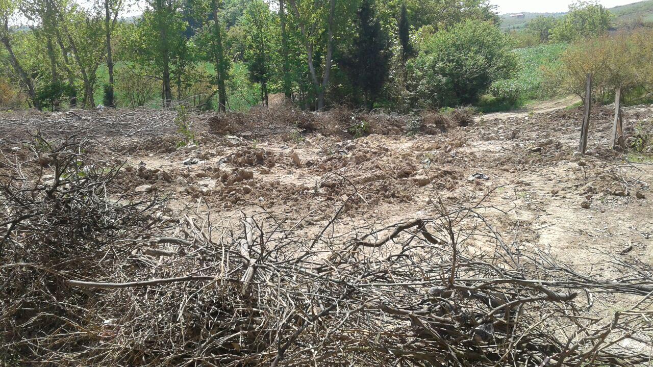 1_13_.jpg (1280×720)