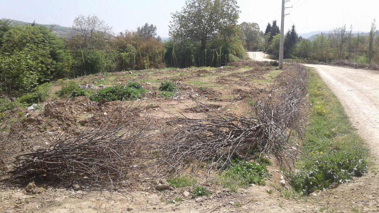 1_17_.jpg (1280×720)