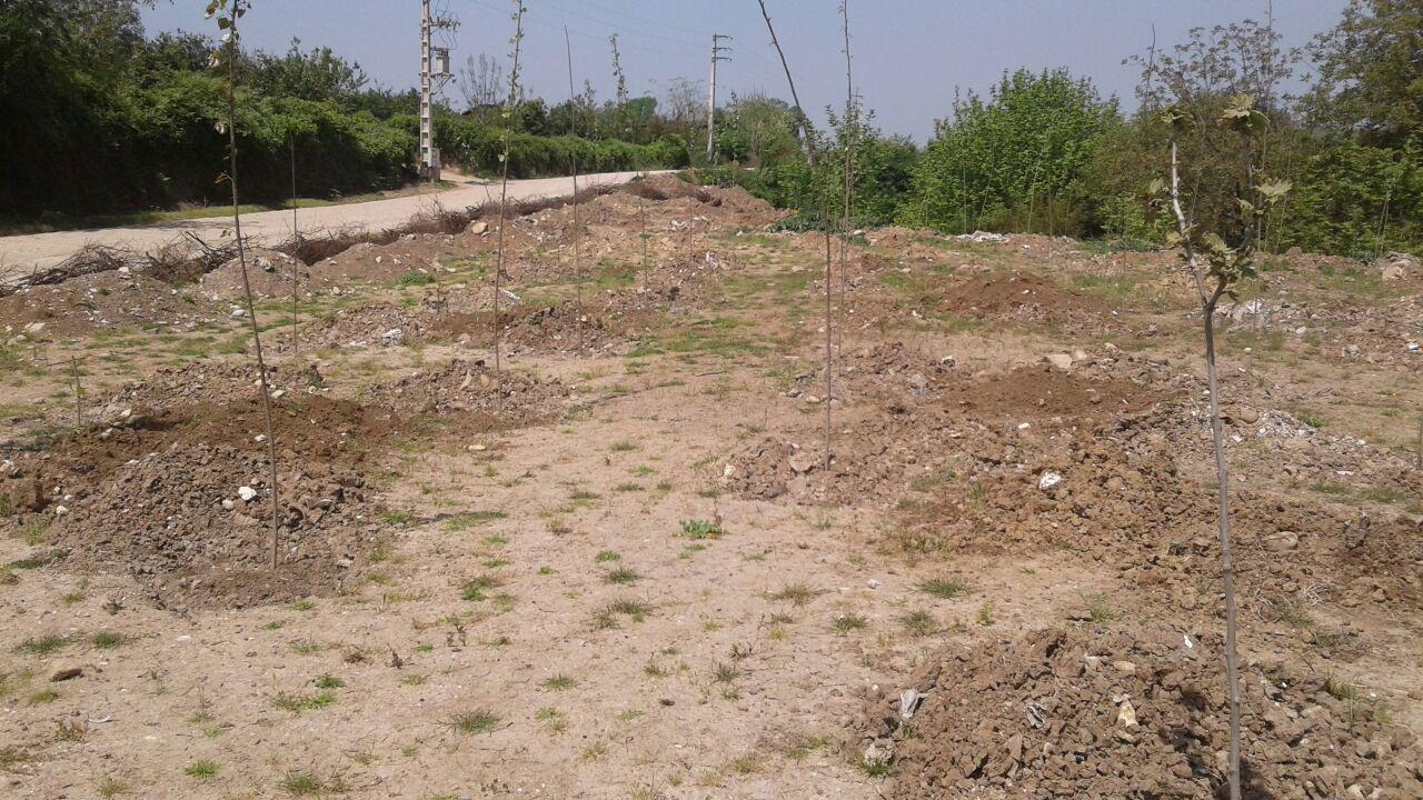 1_19_.jpg (1280×720)