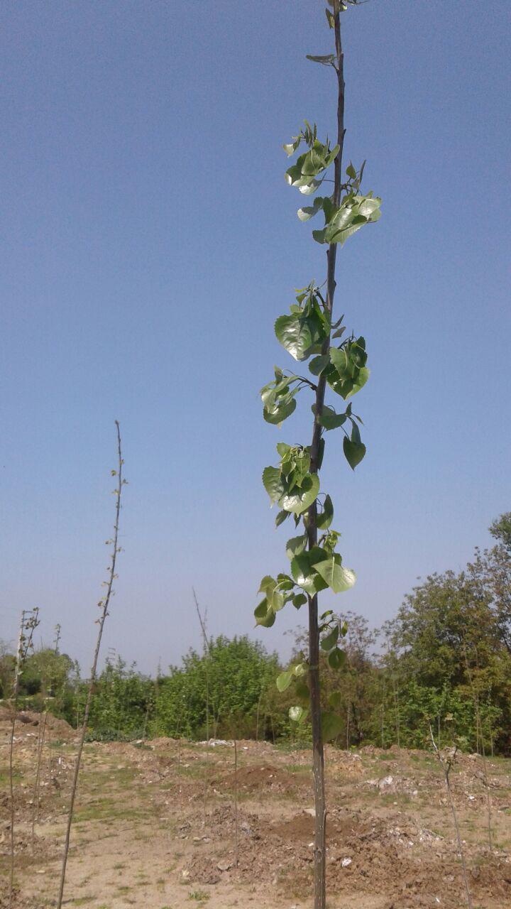 1_20_.jpg (720×1280)