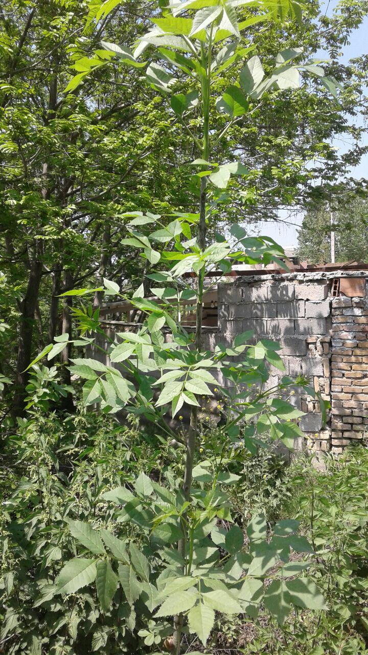 1_21_.jpg (720×1280)