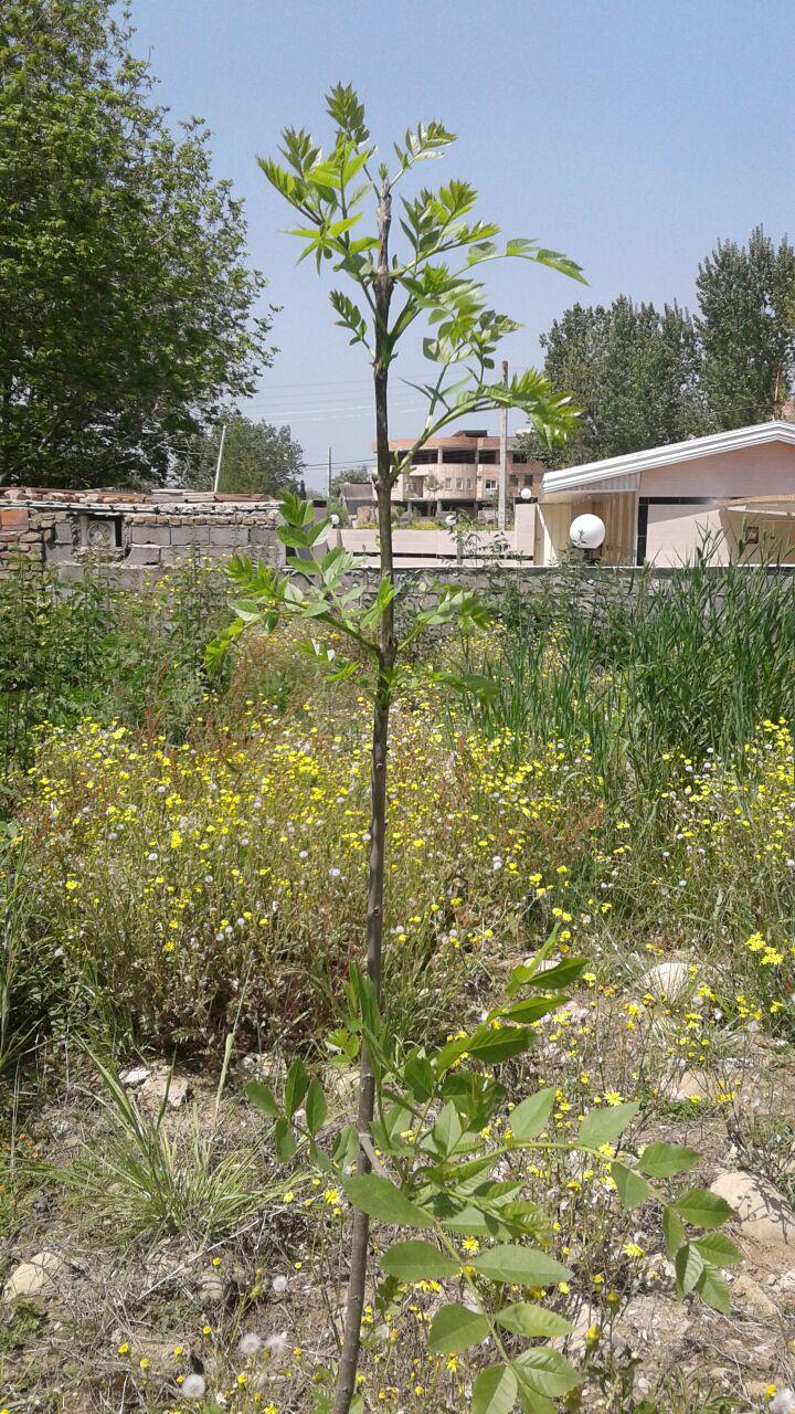 1_22_.jpg (720×1280)