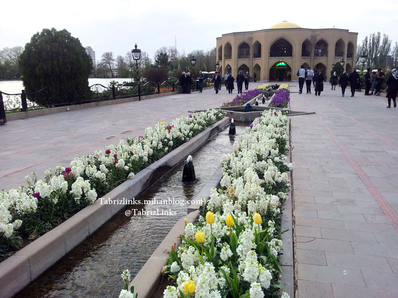 ائل گلی